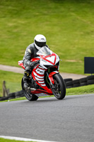 cadwell-no-limits-trackday;cadwell-park;cadwell-park-photographs;cadwell-trackday-photographs;enduro-digital-images;event-digital-images;eventdigitalimages;no-limits-trackdays;peter-wileman-photography;racing-digital-images;trackday-digital-images;trackday-photos